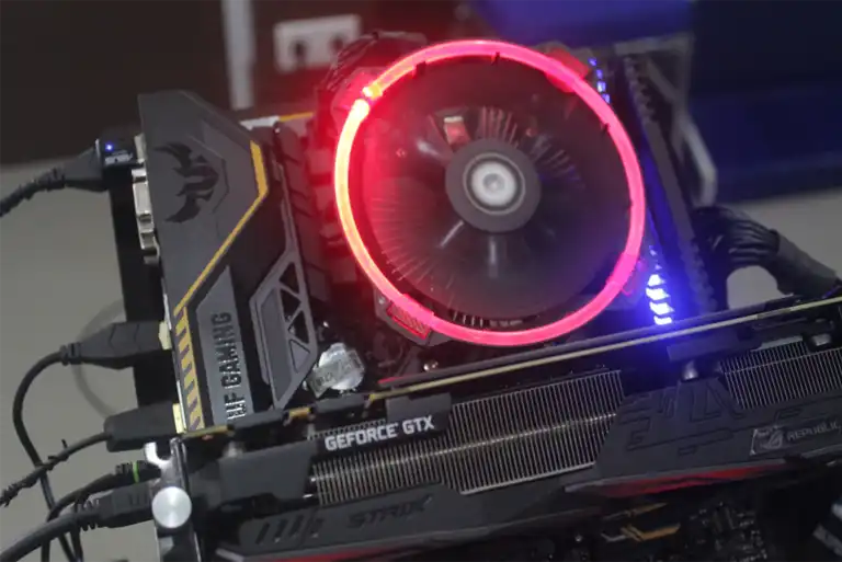 Kobiler İçin Web Tasarim Desteği